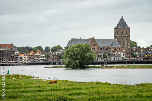 Dutch city of Kampen in Province Overijssel, scenery with the church along the IJssel river