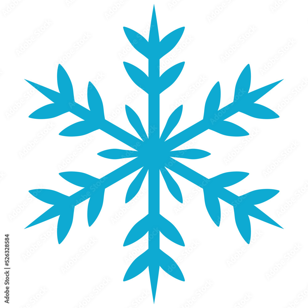 snowflake in the winter, snowing in the snow season, snowfall in cold season