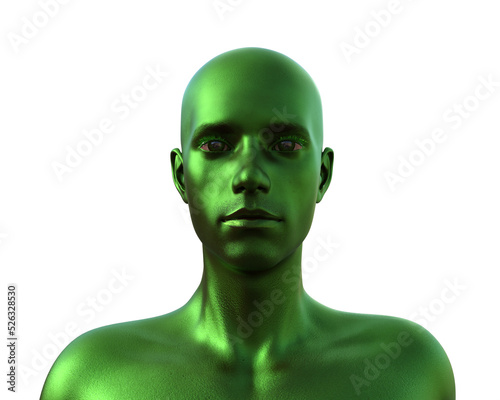 3D render. Portrait of a green bald man on a white background. 