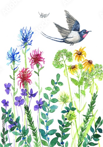 watercolor swallow with a flying feather over blooming meadow flowers. Hand-drawn summer greeting card