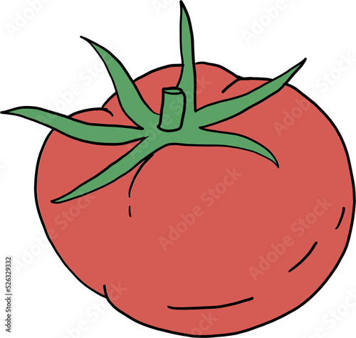 doodle freehand sketch drawing of tomato vegetable.