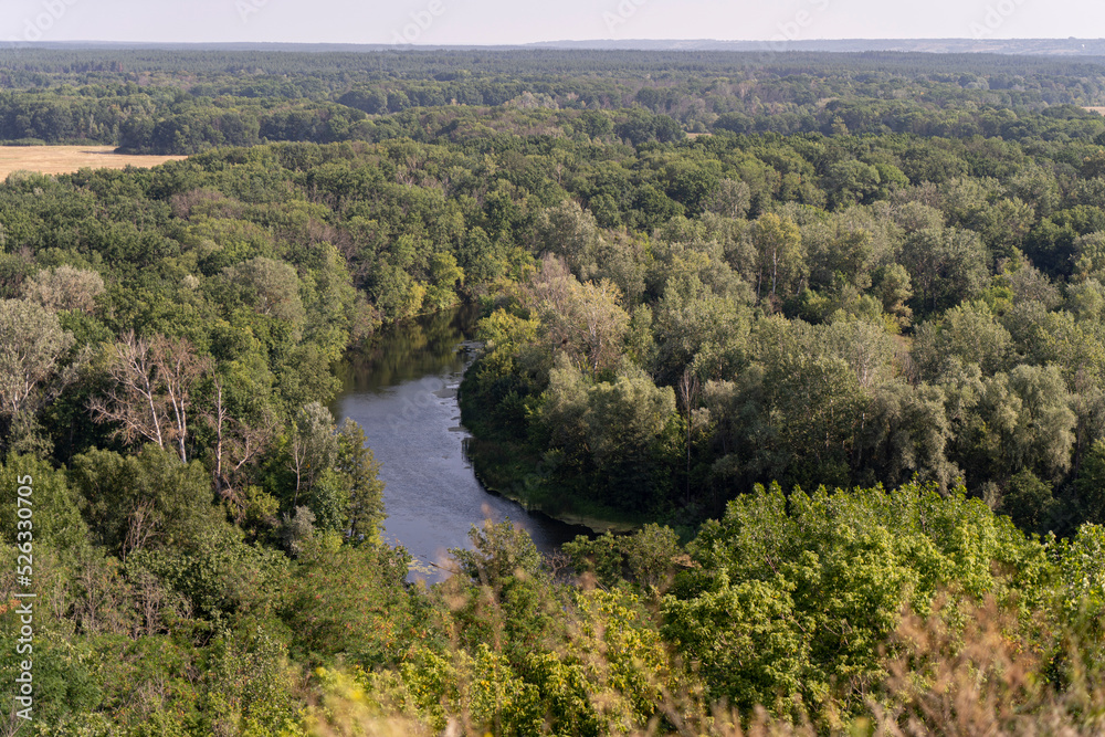 Landscape of wildlife forest and curved river from a high hill