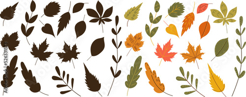 set of autumn leaves in doodle style, vector