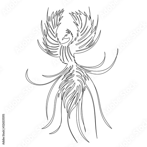 phoenix bird, firebird sketch, vector