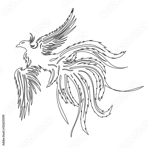 phoenix bird, firebird sketch on white background