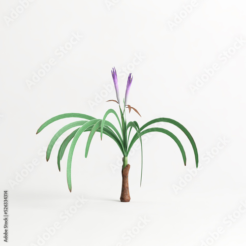 3d illustration of worsleya procera plant isolated on white background