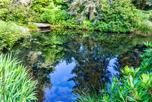 Renton Garden Pond Reflection