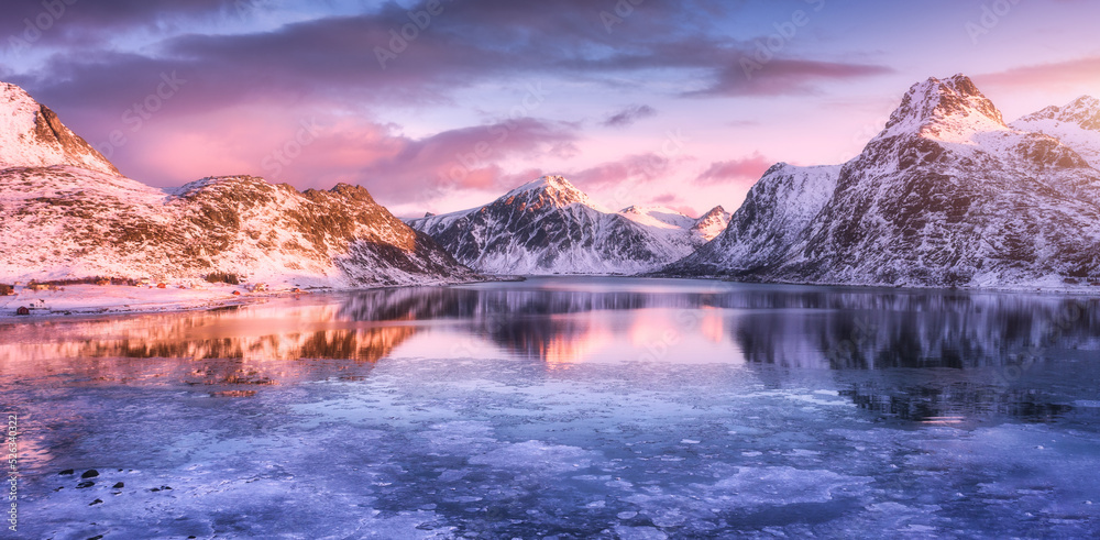 Aerial view of snowy rocky mountains, blue sea with frosty coast, reflection in water, sky with pink clouds at sunset. Lofoten islands, Norway. Winter landscape with snow covered rocks, fjord, ice