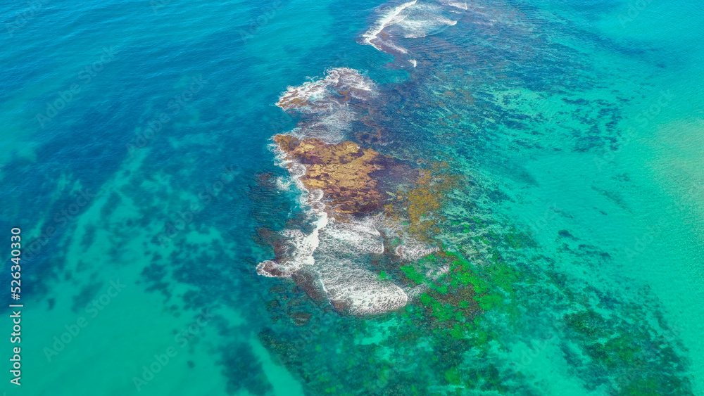 Colourful reef Budgewoi Australia