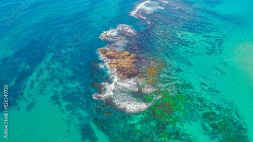 Colourful reef Budgewoi Australia