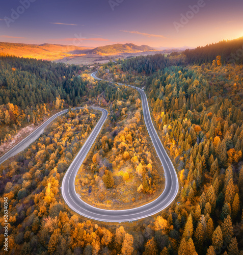 Aerial view of mountain road in colorful forest at sunset in autumn in Ukraine. Top view from drone of road in woods in fall. Beautiful landscape with roadway in hills, pine trees, mountains. Nature