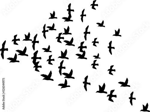 A flock of flying birds png illustration