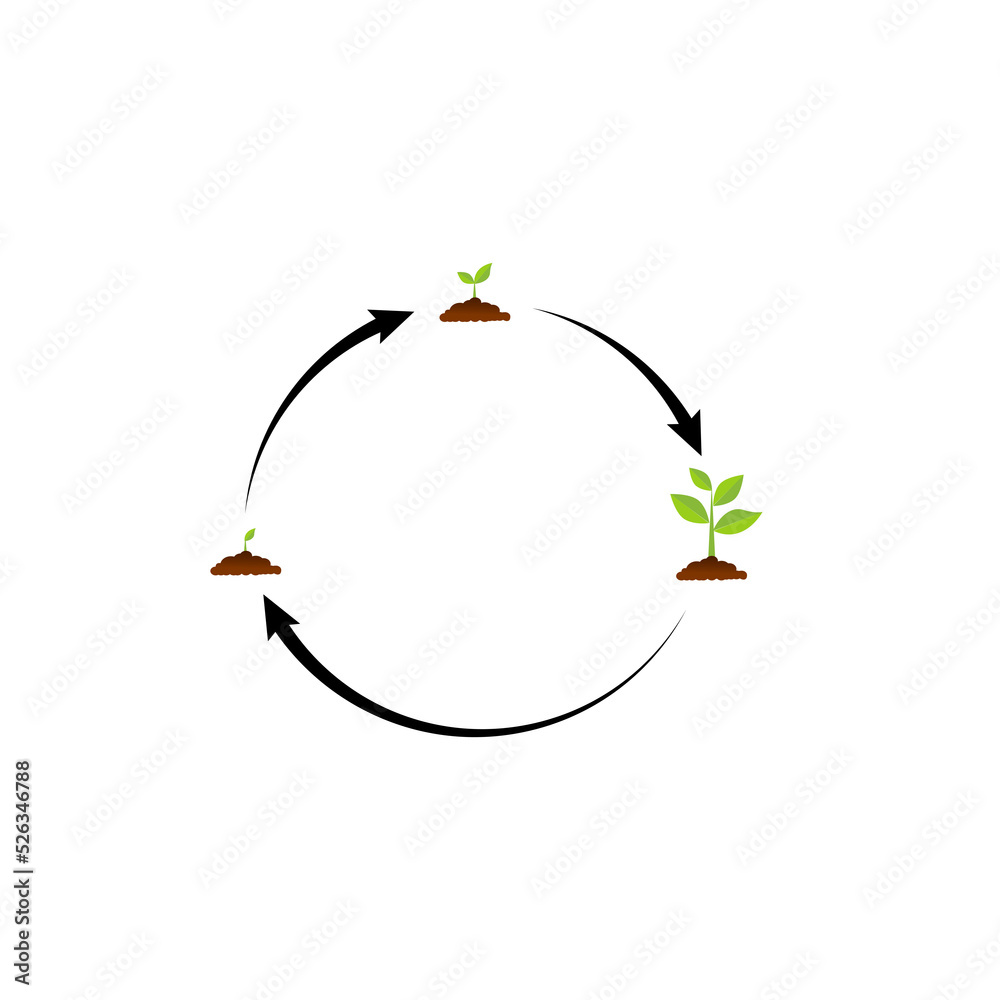The tree that grows from seed is a big tree with green color and the seedlings grow into a big tree. Vector illustration The tree that grows from seed is a big tree with green color and the seedlings grow into a big tree. Vector illustration