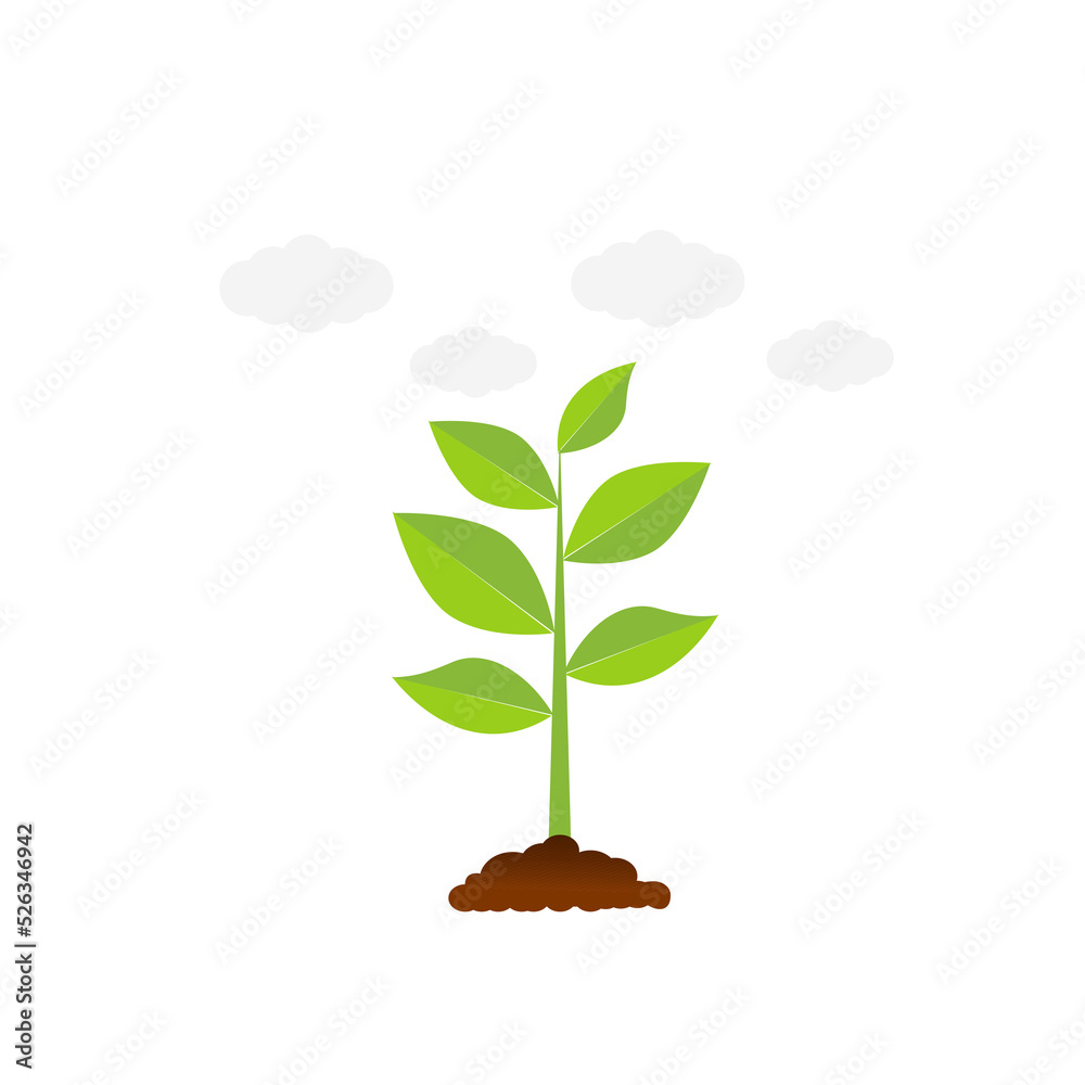 The tree that grows from seed is a big tree with green color and the seedlings grow into a big tree. Vector illustration The tree that grows from seed is a big tree with green color and the seedlings grow into a big tree. Vector illustration
