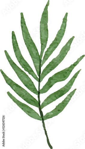 Watercolor Leaves Illustration leaf for Decorative Element