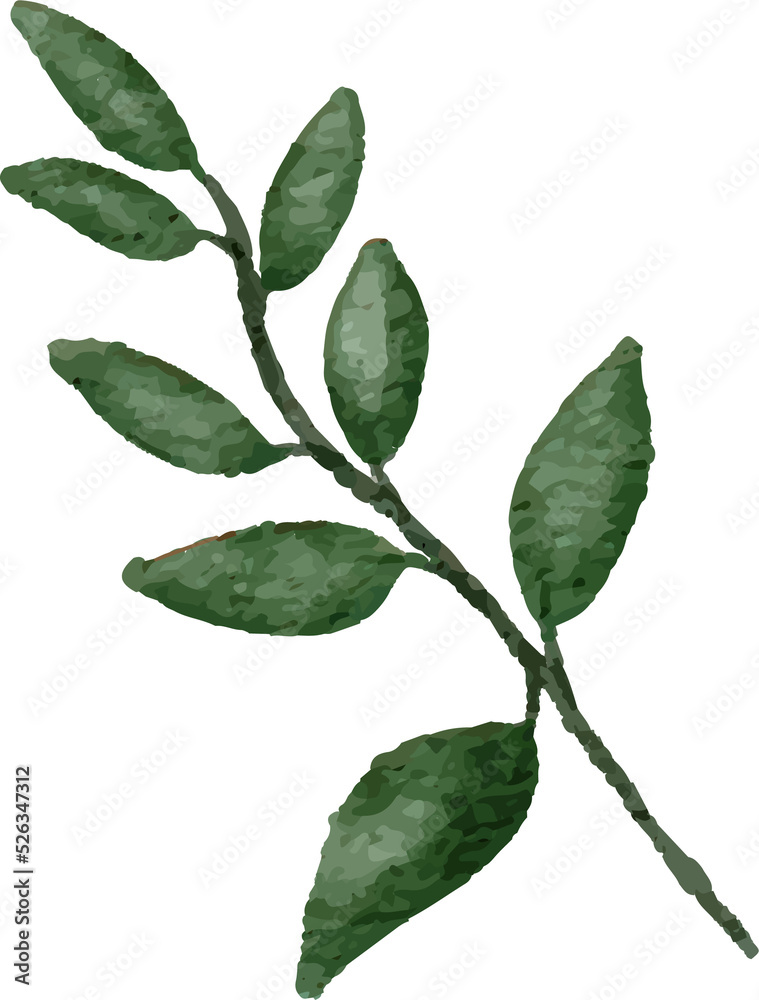 Fototapeta premium Watercolor Leaves Illustration leaf for Decorative Element