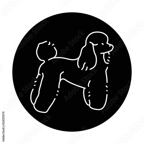 Poodle color line icon. Dog breed.