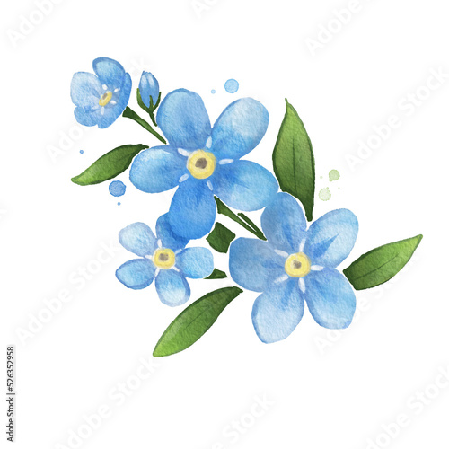 Cuadro en lienzo Forget me not Flower Watercolor Isolated
