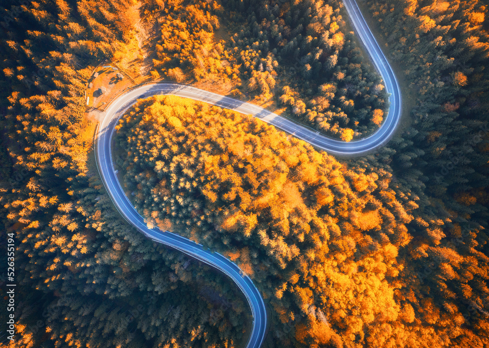 Aerial view of winding empty road in colorful autumn forest at sunset. Top view from drone of mountain road in woods. Beautiful landscape with roadway, trees with orange leaves in fall. Ukraine