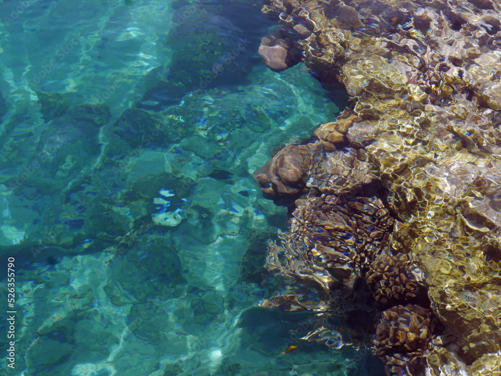 meraviglioso fondale del mare trasparente a Sharm in Egitto