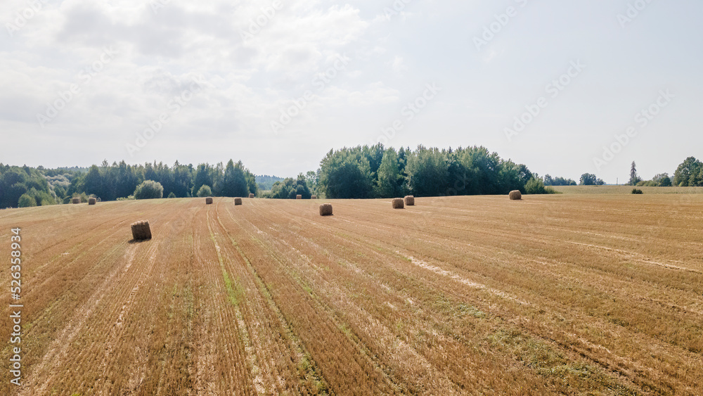 Aerial view of hay bales on the field after harvest. Landscape of straw bales on agricultural field. Countryside landscape.