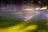 automatic watering of lawns in the park. watering decorative grass in the recreation area of ​​the city park. water fountain in sunlight