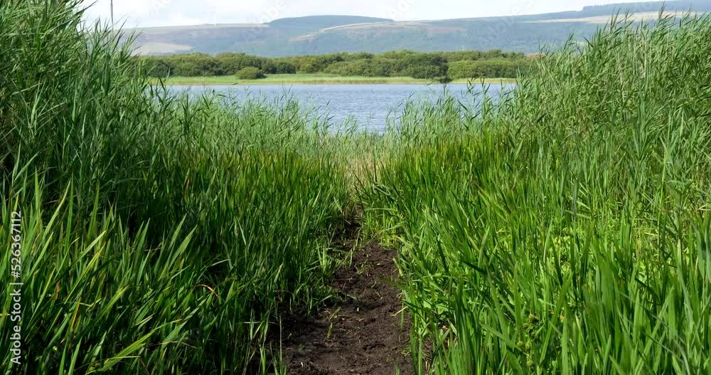 Glamorgan's largest natural lake, Kenfig Pool, is set on the edge of this beautiful sand dune nature reserve with spectacular views across Swansea Bay to the Gower.