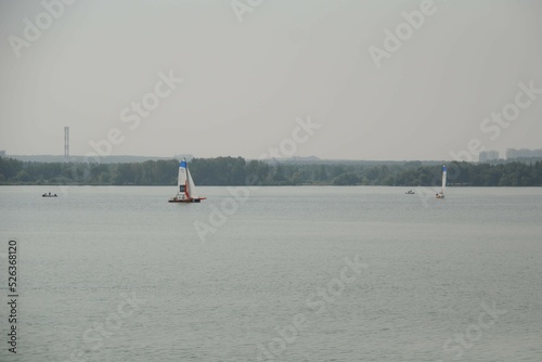 Several yachts and saps on the lake against the background of the urban landscape. Summer expensive leisure. Calm water surface. Yacht club. Sport competitions. Summer vacation on the water.