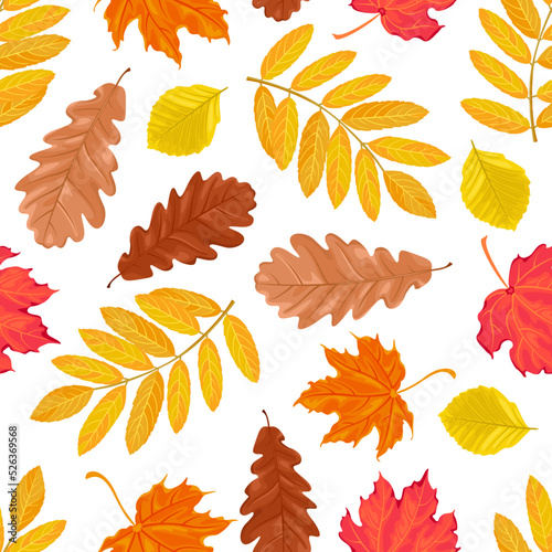 Autumn fallen leaves seamless pattern. Cartoon multicolored leaf of maple, oak, elm and rowan. Vector botanical background.