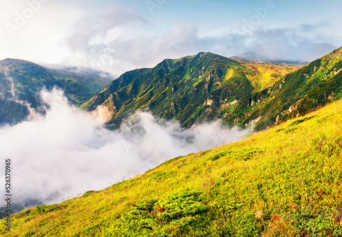 Bright Carpathian landscape in the morning light. Panoramic view.