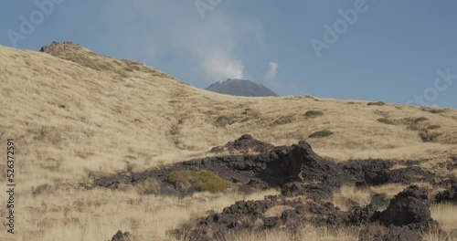 Panoramic view of the southern slope, with the southeast crater of Mount Etna in the background