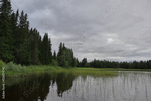 Dark water at the Swedish countryside. Cloudy day outside. Summer of 2022. Jämtland, Sweden, Europe.