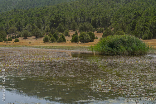 Laguna de Bezas en Teruel , Sierra de Albarracín, Aragón photo