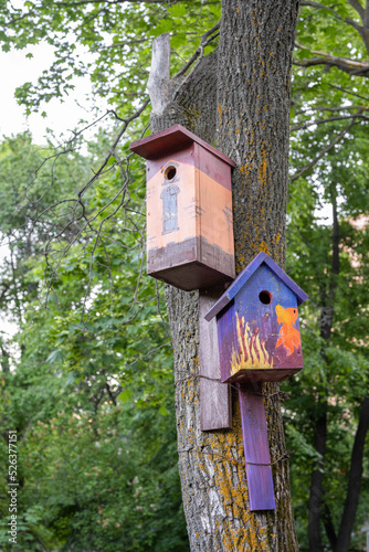 The funny painted birdhouses on the tree. Handmade wooden nesting box. © Evgeniy