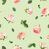 Seamless pattern of rose flowers photo and leaf on light green background