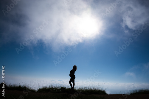 silhouette of pregnant woman outdoors with clouds in the background.