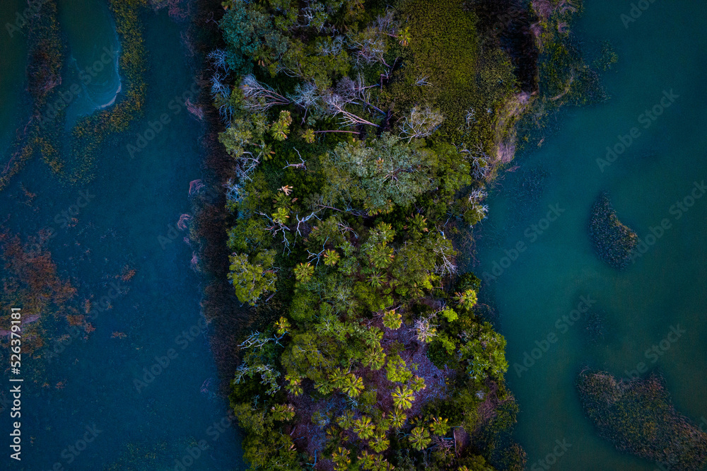 Aerial Abstract View of an Island Surrounded by a Marsh
