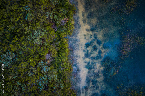 Aerial Abstract View of a Marsh and the Shore