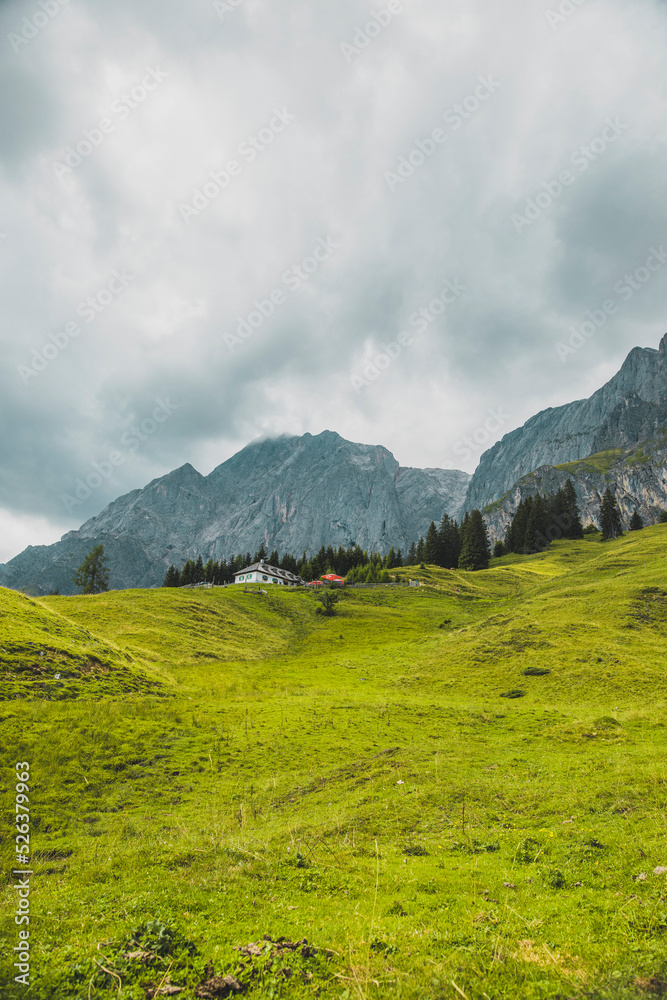 Fototapeta premium Alm am Fuße des Hochkönigs