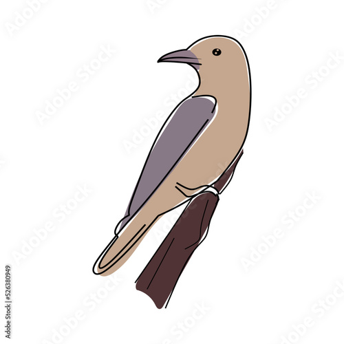 Florida bird line illustration. Hand drawn florida bird. Linear florida's illustration. vector 