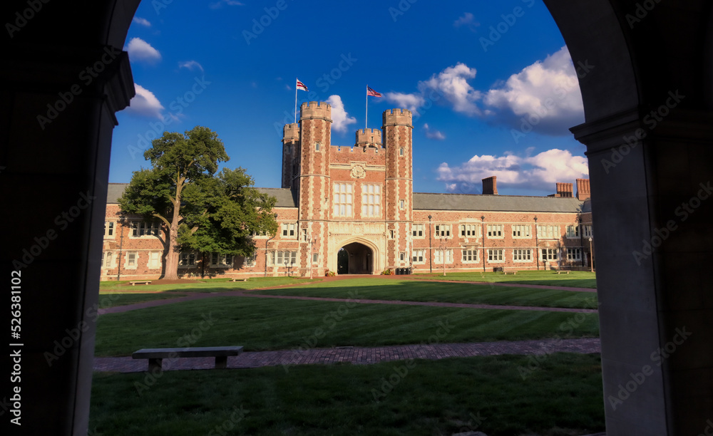 Washington University in St. Louis