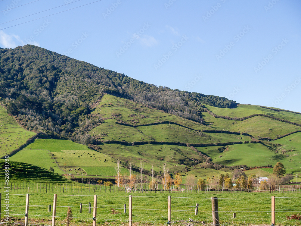 Fertile green grassland hill from road under blue sky