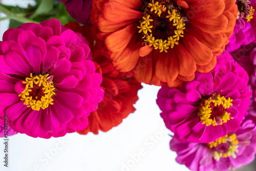 Bouquet of pink and red gerbera daisy flowers on white table background. Top view, copy space.  Colorful gerber autumn flowers.  © Juver