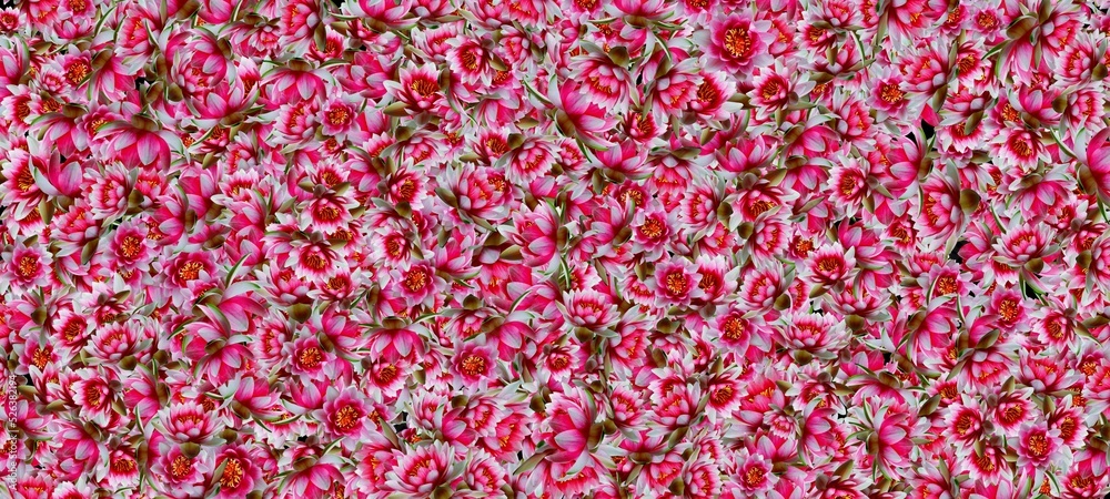 Obraz premium pattern with flowers