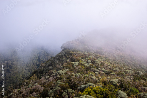 fog in the mountains © Cristofer