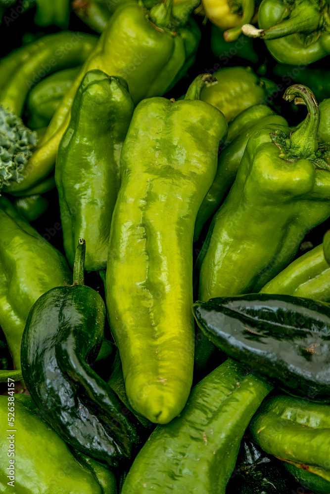 Summer afternoon at Farmer's Market in Fort Collins Colorado Summer afternoon at Farmer's Market in Fort Collins Colorado