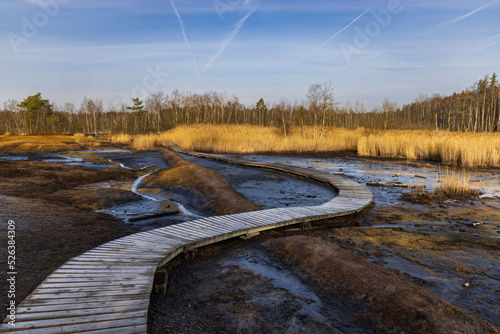 Canvas Print Nature reserve Soos, Western Bohemia, Czech Republic