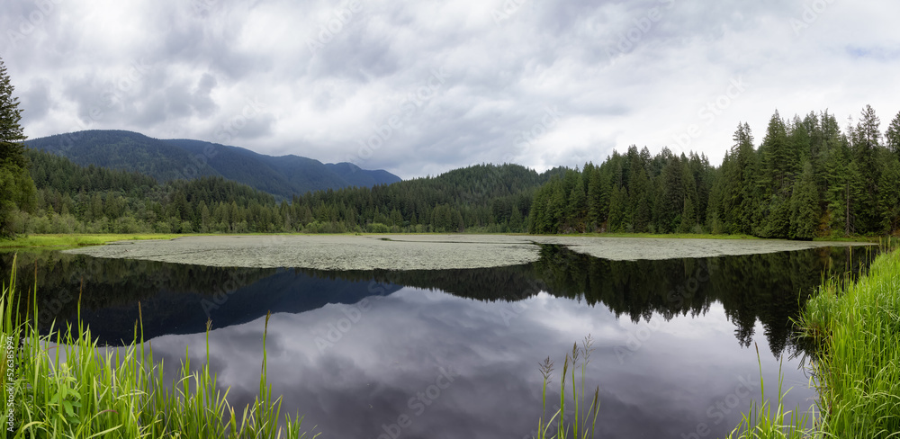 Panoramic View of a lake in Canadian Nature Landscape. Minnekhada Regional Park, Coquitlam, Vancouver, British Columbia, Canada. Background Panorama