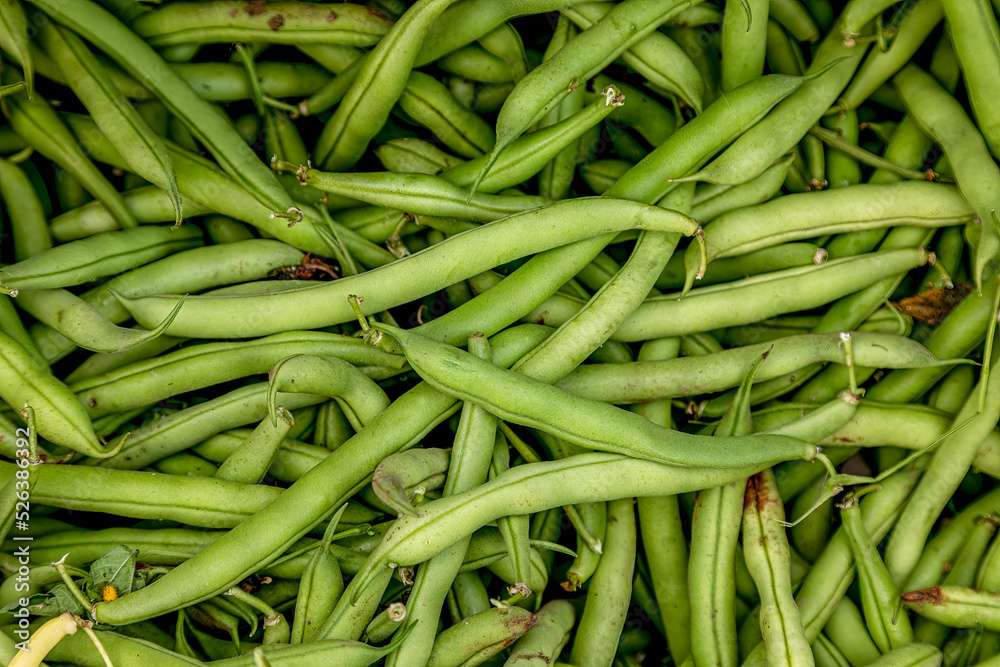 Summer afternoon at Farmer's Market in Fort Collins Colorado Summer afternoon at Farmer's Market in Fort Collins Colorado