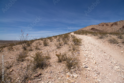 hiking trail up a steep hill in the desert at Picacho Peak in New Mexico